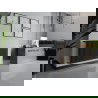 Mexen CH10 Хигиенен плочен радиатор 300 x 1000 mm, странично свързване, 331 W, антрацит - W410H-030-100-66