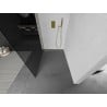 Mexen Kioto L стена за душ, Walk-in 100 x 200 см, графит, злато с четкан ефект - 800-100-103-55-40