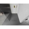 Mexen Kioto стена за душа Walk-in 100 x 200 см, стъкло 8 мм, златна четка - 800-100-101-55-09