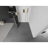Mexen Kioto+ L стенна душ кабина с рафт Walk-in 70 x 200 см, черен модел, златен - 800-070-123-50-77
