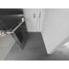 Mexen Kioto+ стената за душ Walk-in 110 x 200 см, прозрачно стъкло, сатенен никел - 800-110-121-97-09