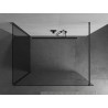 Mexen Kioto душ стена Walk-in 100 x 75 см, прозрачна, gun metal - 800-100-212-95-00-075