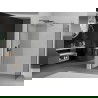 Mexen Kioto стена за душ отвор 170 x 80 см, прозрачна, сив металик с четкано покритие - 800-170-202-66-00-080