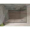 Mexen Omega душ кабина с плъзгащи се врати 120 x 100 см, графит, хром - 825-120-100-01-40