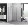 Mexen Exo-S Duo квадратна плъзгаща душ кабина 70 x 70 см, прозрачна, хром