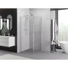 Mexen Exo-BR отваряща се душ кабина 75 x 75 см, прозрачна, хром - 8181-075-075-01-00