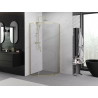 Mexen Exo-R пет-стенна душ кабина с врати 100 x 100 см, прозрачна, златна