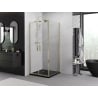 Mexen Exo душ кабина с отваряща врата 80 x 80 см, прозрачна, златна - 8182-080-080-50-00