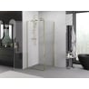 Mexen Exo кабина за душ с врата 80 x 80 см, прозрачна, златна - 8181-080-080-50-00