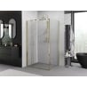 Mexen Exo сгъваема душ кабина 70 x 90 см, прозрачна, златна - 816-070-090-50-00