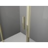 Mexen Exo панти врати за душ кабина 155 cm, прозрачни, златни - 819-155-000-50-00