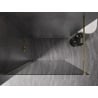 Mexen Kioto-X стена за душ Walk-in 160 x 200 cm, графит 10 mm, злато - 800-160-101-50-40-X