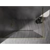 Mexen Kioto-XF плъзгаща се душ кабина Walk-in с рамка 60 x 202 см, графит 10 мм, златна - 800-060-104-50-40-X