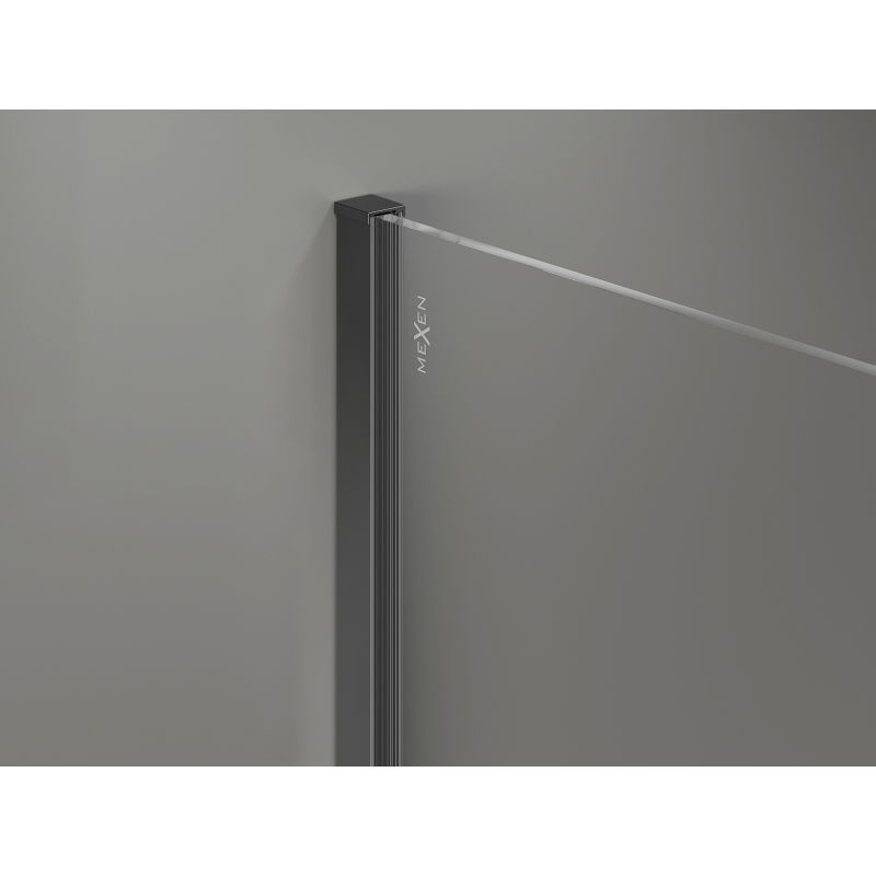 Mexen Kioto-X параван за душ Walk-in 120 x 100 cm, прозрачен 10 mm, gun metal - 800-120-202-95-00-100-X