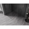 Mexen Kioto-X душ стена Walk-in 140 x 120 см, прозрачно 10 мм, gun metal - 800-140-202-95-00-120-X