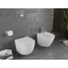 Mexen Лена мивка wc Rimless с капак бавно падаещ слънчев, дургопласт, бяла гланц - 30220400