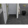 Mexen Pretoria отваряща се врата за душ 80 см, прозрачна, златиста - 852-080-000-50-00