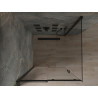 Mexen Omega плъзгаща се душ кабина 100 x 100 см, прозрачна, черна - 825-100-100-70-00