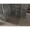 Mexen Omega плъзгаща душкабина 100 x 100 см, прозрачна, хром - 825-100-100-01-00
