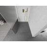 Mexen Kioto душ стена Walk-in 70 x 200 cm, прозрачен/матов 8 mm, златен - 800-070-101-50-35