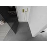 Mexen Kioto душ преграда Walk-in 100 x 200 см, графит 8 мм, злато - 800-100-101-50-40