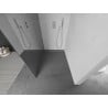 Mexen Kioto душ преграда Walk-in 100 x 200 см, огледало 8 мм, хром - 800-100-101-01-50