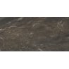 Mexen Sintra Bronze глазирано рект. Г1, стенна и подова плочка 120 x 60 см, висок гланц - TL204-120-060-01