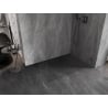 Mexen Lunar преграда за душ Walk-in дясна 50 x 200 cm, прозрачна 8 mm, gun metal - 830-050-000-95-00-P