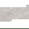 Mexen Evolution Светло сив полиран рект. G1, подово-стенна плочка 120 x 60 cm, гравиране - TL437-120-060-03