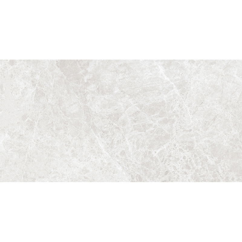 Mexen Lizard Сребърен глазуриран порцелан ректифициран G1, подова и стенна плочка 120 x 60 см, блясък - TL109-120-060-03