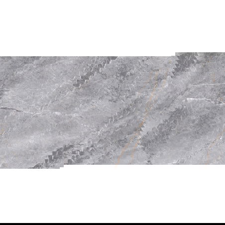 Mexen Eternity Grey, плочка ректифицирана G1, подова-стенна 120 x 60 cm, гланц - TL112-120-060-01
