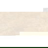 Mexen Nairobi Бежов полиран гранитогрес, плочка за под и стена 120 x 60 см, гланц - TL160-120-060-00