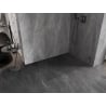 Mexen Lunar L Душ параван Walk-in дясна 50 x 200 cm, прозрачен 8 mm, gun metal - 830L-050-000-95-00-P