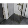 Mexen Apia душ кабина с плъзгащи се врати 110 x 100 см, прозрачна, златна - 840-110-100-50-00