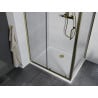 Mexen Apia плъзгаща се душ кабина 120 x 90 см, прозрачна, златна + тава Flat, бяла- 840-120-090-50-00-4010G