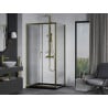 Mexen Apia плъзгаща се душ кабина 90 x 100 см, прозрачна, златна + корито Flat, черно - 840-090-100-50-00-4070G