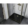 Mexen Apia плъзгаща се душ кабина 90 x 100 см, прозрачна, златна + корито Flat, черно - 840-090-100-50-00-4070G
