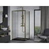 Mexen Apia плъзгаща се душ кабина 90 x 100 см, прозрачна, златна + корито Flat, черно - 840-090-100-50-00-4070G