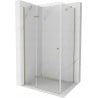 Mexen Roma душ кабина с отваряща се врата 70 x 100 см, прозрачна, златна - 854-070-100-50-00