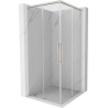Mexen Rox Двойна плъзгаща се душ кабина 110 x 110 см, прозрачна, матов никел