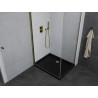 Mexen Pretoria люлееща се душ кабина 80 x 70 см, прозрачна, златна + плосък