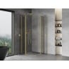 Mexen Mist Duo сгъваема душ кабина 120 x 120 cm, прозрачна, златна - 8A4-120-120-50-00