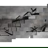 Mexen Mist Duo душ кабина с врати 85 x 80 см, черна мрежа, черна - 8A4-085L-080P-70-77