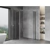 Mexen Mist L Duo люлееща се душ кабина 105 x 100 см, прозрачна, хром - 8A4L-105-100-01-00