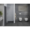 Mexen Pretoria разтваряща се душ врата 100 см, графит, хром - 852-100-000-01-40