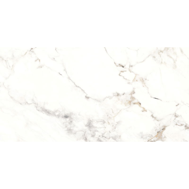 Mexen Scordia Сива проба на глазирани плочи ректиф. G1, подово-стенна плочка 120 x 60 см, блясък - TL125-00-S