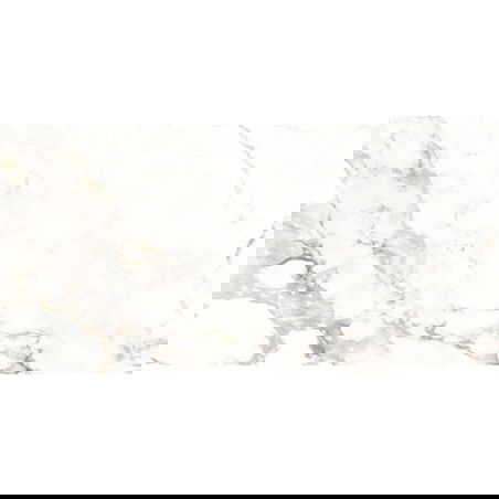 Mexen Scordia Сива проба на глазирани плочи ректиф. G1, подово-стенна плочка 120 x 60 см, блясък - TL125-00-S