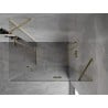 Mexen Mist-H Duo душ кабина с отваряща се врата дясна 100 x 110 см, прозрачна, златна - 8A5-100L-110P-50-00