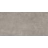 Mexen District Сива проба на глазирани порцеланови плочки ректифицирана G1, подова и стенна плочка 120 x 60 cm, мат - TL308-02-S