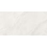 Mexen Aryan Bianco мостра от глазирани ректифицирани гранитогреси G1, стенни и подови плочки 120 x 60 см, мат - TL310-06-S